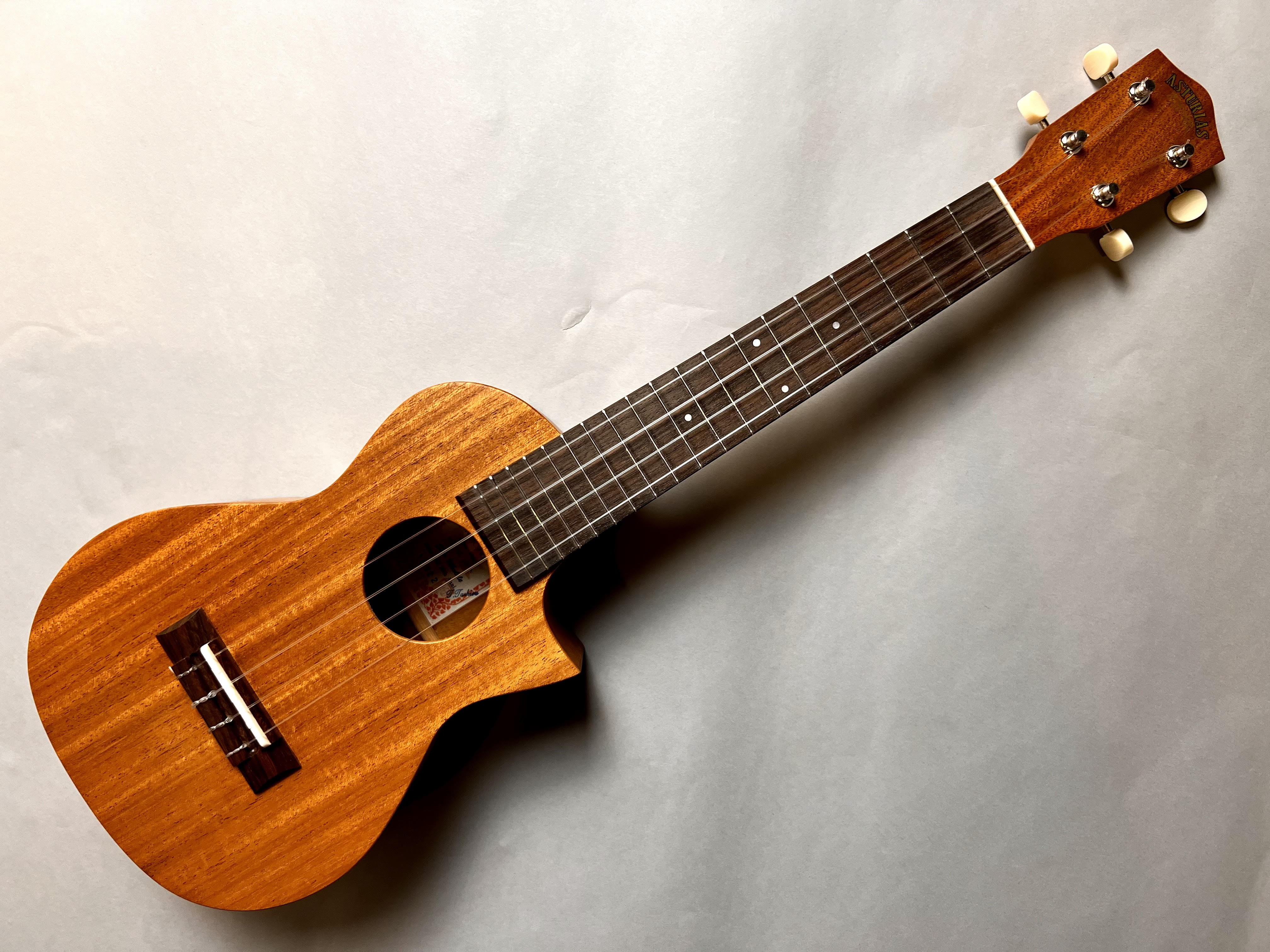 ASTURIASMaho DSH 30th Anni. 【限定生産】
