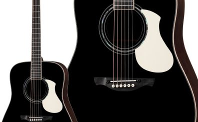 James　J-500L BLK
