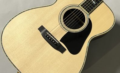 K.Yairi　ST-YF-6【Jacaranda Side/Back】【限定生産モデル】