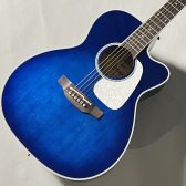 Takamine　PTU70CS