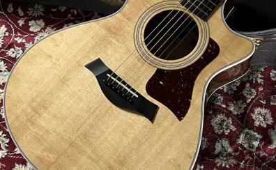 Taylor　412ce Rosewood V-Class【Used】【2019年製】