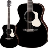 James　J-500S BLK