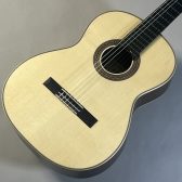 ASTURIAS　TSUJI S-2/S【ドイツ松表板】