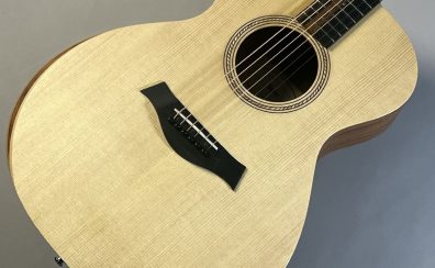 Taylor　Academy 12e
