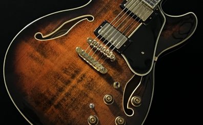 Ibanez　AS113B-TBC / Tobacco Brown