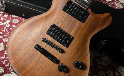 FUJIGEN(FGN)　EFLMH【Aqua Timber Mahogany Neck&Body】【Natural Flat】