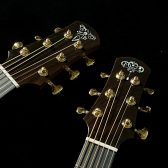 ASTURIAS　GUITAR SUMMIT Show model入荷！！　