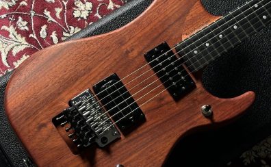 Washburn　N4-Nuno Padauk USA Natural