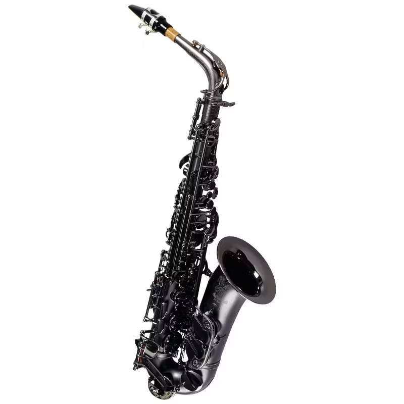 CannonballA5-BiceB -Raven-