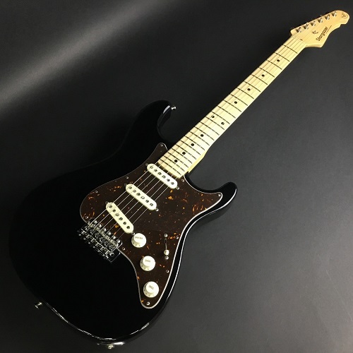 SugiSTARGAZER M SSS ASH HM BLK