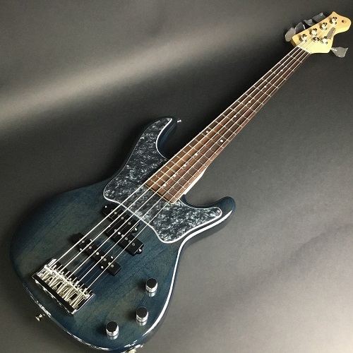 Freedom Custom Guitar ResearchBlowzer 5st PJ Alder2P/R