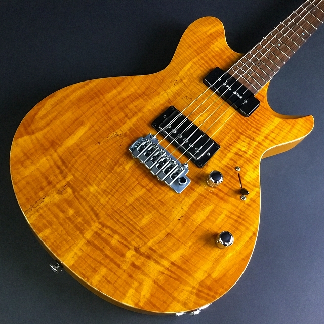 T's Guitars Vena22/P90