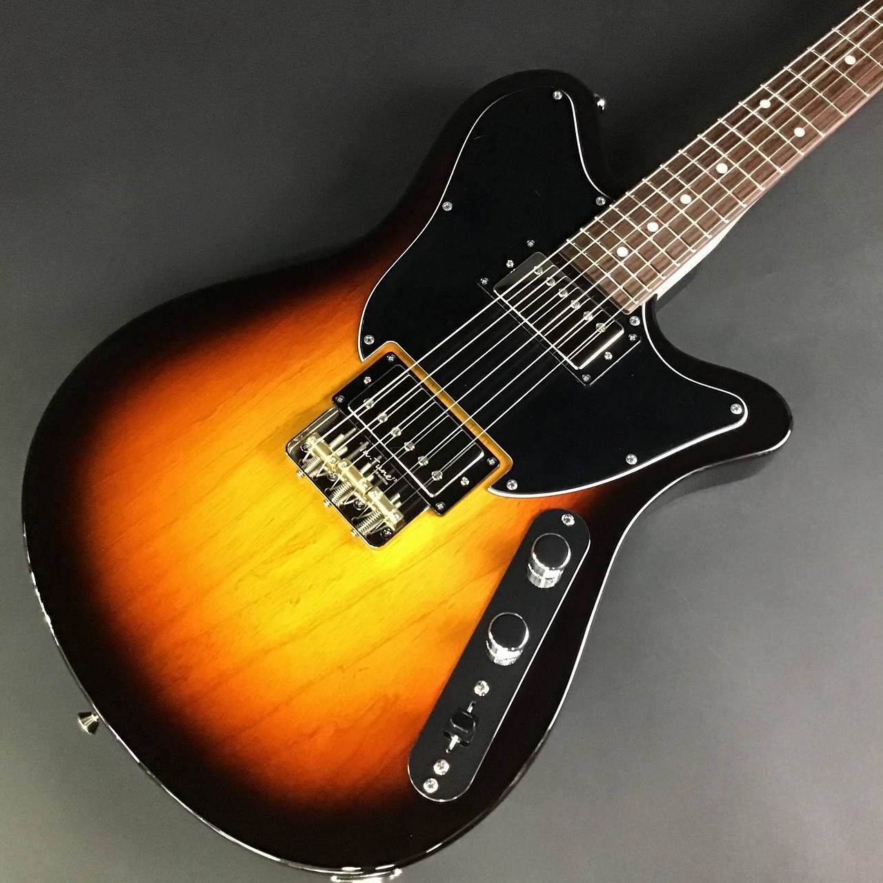 FREEDOM CUSTOM GUITAR RESEARCH Shaker