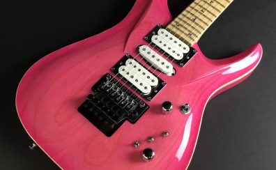 終了しました　G-Life Guitars特集 【10月29日から11月20日までフェア開催】