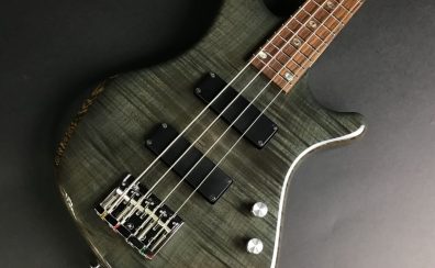 FREEDOM CUSTOM GUITAR RESEARCH DulakeFlat 4st エレキベース