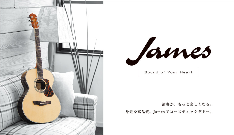 James　ジェームズ　アコースティックギター　JD350TS　キャリーバッグ