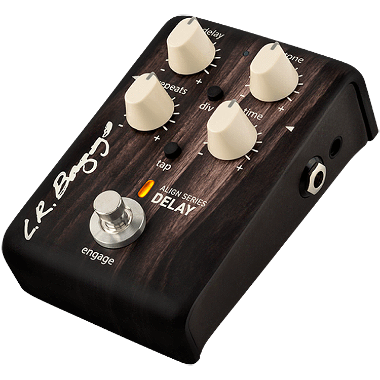 L.R.Baggs DELAY