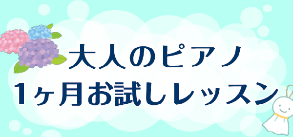 ⑧1ヶ月お試しレッスンのご案内