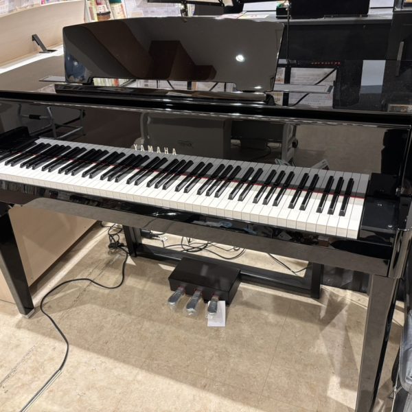 ヤマハN1X<br />
￥715,000(税込)<br />
→￥679,250(税込)
