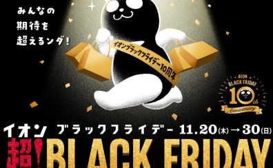 【BLACK FRIDAY 2025】年に一度の大特価セール開催!話題の楽器・アクセサリーが今だけプライスダウン!
