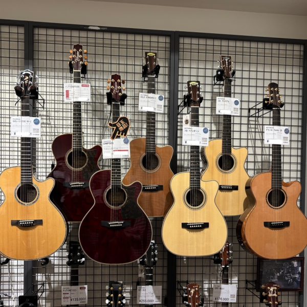 ソロギターコーナー✨