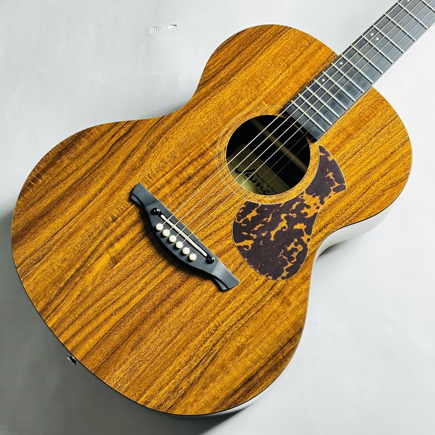 初心者に定番のアコースティックギターJames/J-100Aなら