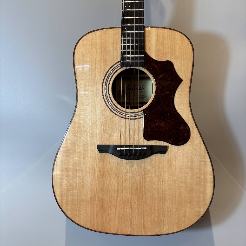 アコースティックギターJames J-900L