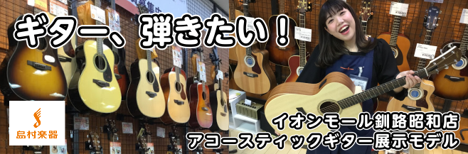 イオンモール釧路昭和店アコースティックギターラインナップ