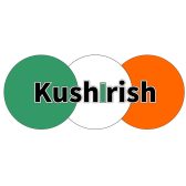 【アイルランド音楽】KushIrishのお知らせ。