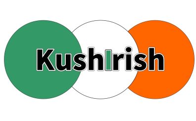 【アイルランド音楽】KushIrishのお知らせ。