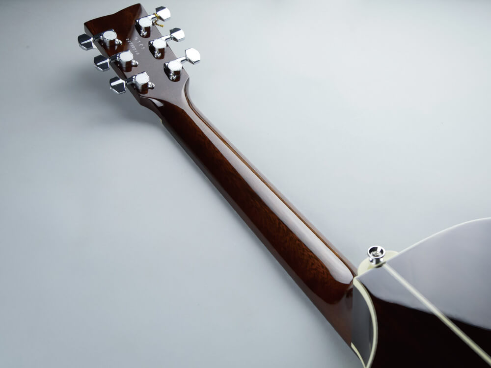 Lumber LDG10TS +Louis LT3＋ヒストリー ギターピック（弾き