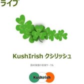 【アイルランド音楽】St. Patrick’s Dayライブを開催します！