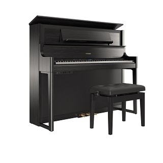 RolandLX9GP