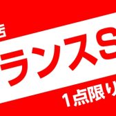 【夏のクリアランスセール】超特価で販売中です！！🔥【EG/AG/EB】