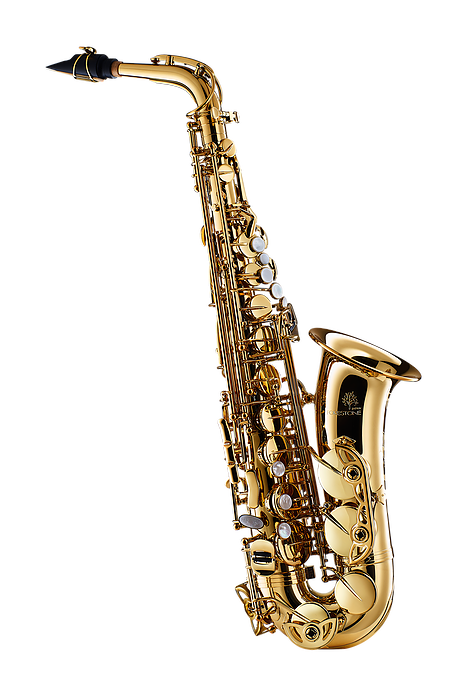 大人女性の フォレストーン テナーサックス 諦め Jazz アンラッカー ネック 管楽器・吹奏楽器