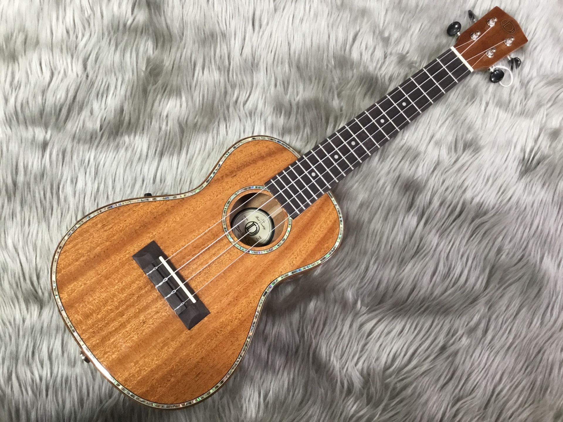 【ウクレレ】DCT/DUC-300ME入荷しました！