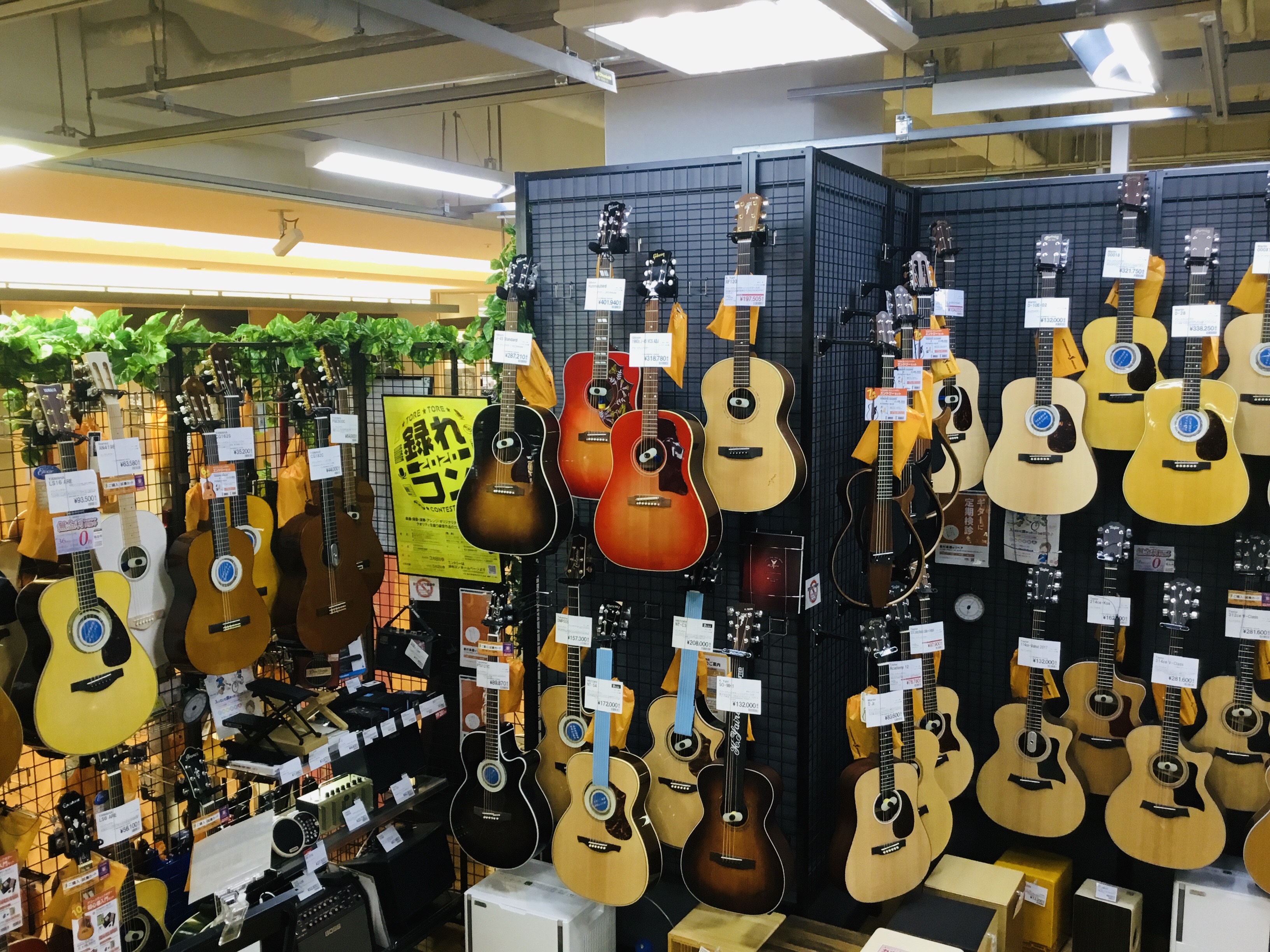 【Martin・Taylor etc】今が買い！アコースティックギターお買い得情報！