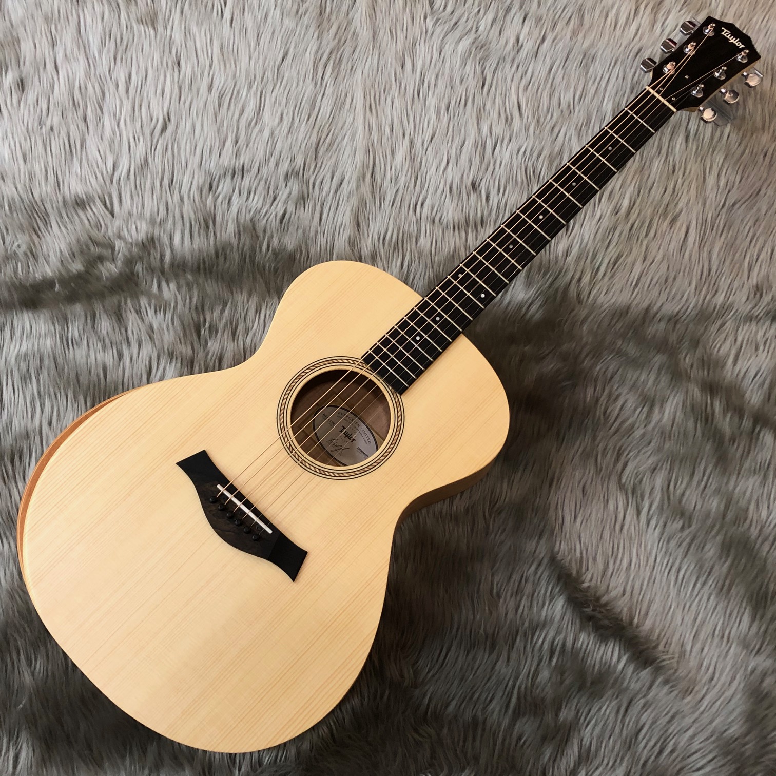 Taylor LTD EG Academy 12e