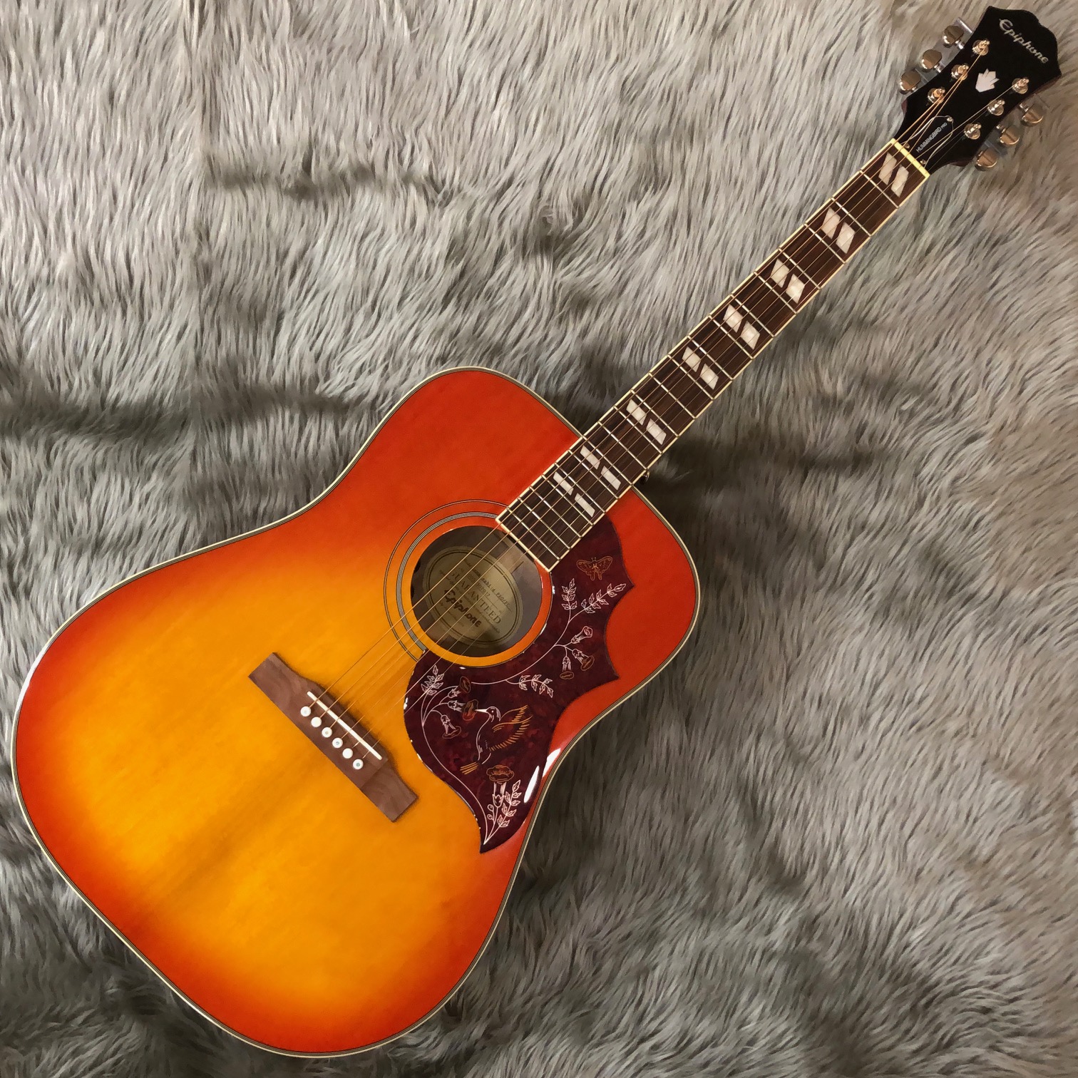 アコースティックギター】Epiphone Hummingbird PRO 展示ございます