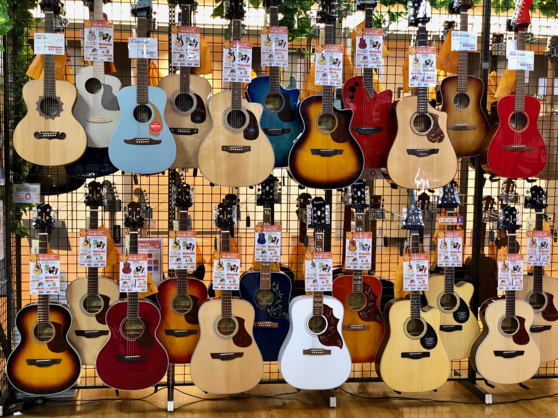 【アコースティックギター】京都でアコギを始めるなら島村楽器洛北阪急スクエア店へおこしやす♪