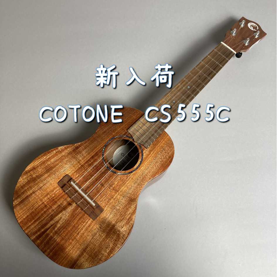 オール単板コンサートサイズCOTONE CS555C入荷しました♪