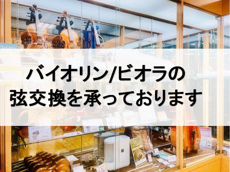 バイオリン・ビオラ・チェロの弦の交換承ります！ いきなりですが、皆さまはバイオリンの弦は替えられていますか？弦が切れるまで使っています！という方も多いのでは？と思いますが、実は弦が劣化してしまうと音の響きや伸びがなくなってしまったり、発音が悪くなったりします。そうならない為に、定期的な弦交換をおスス […]