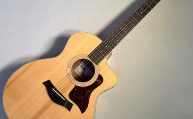 【Taylorセール】214ce Walnut【チョイ傷特価】 テイラー