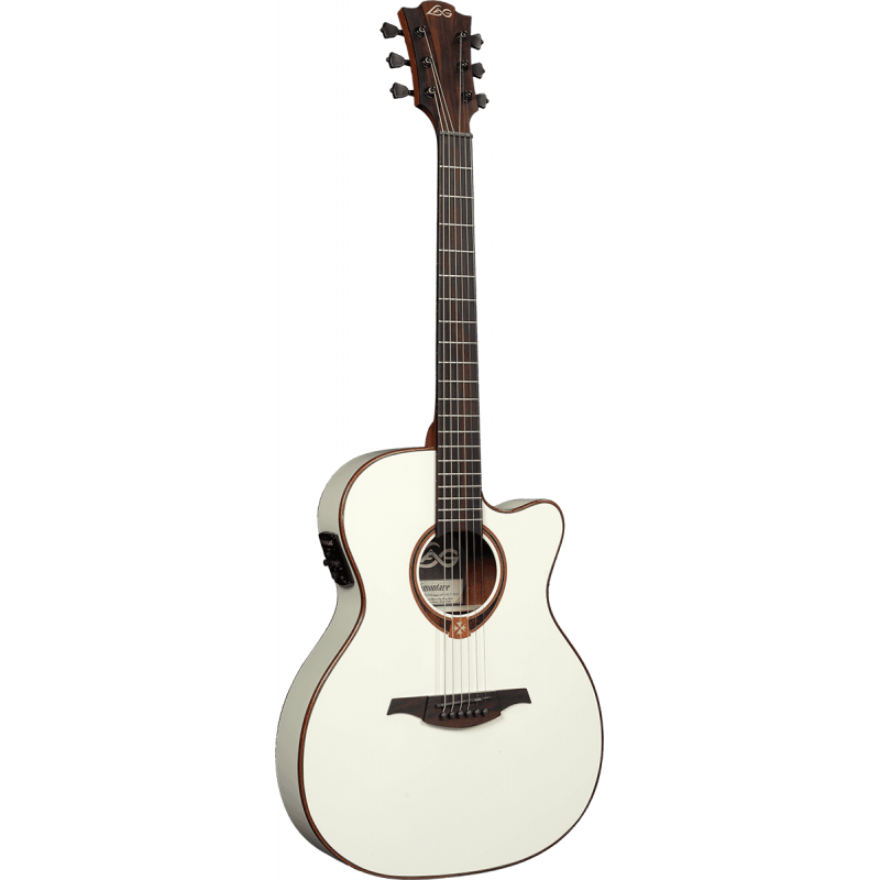 エレアコギターT118ASCE IVO