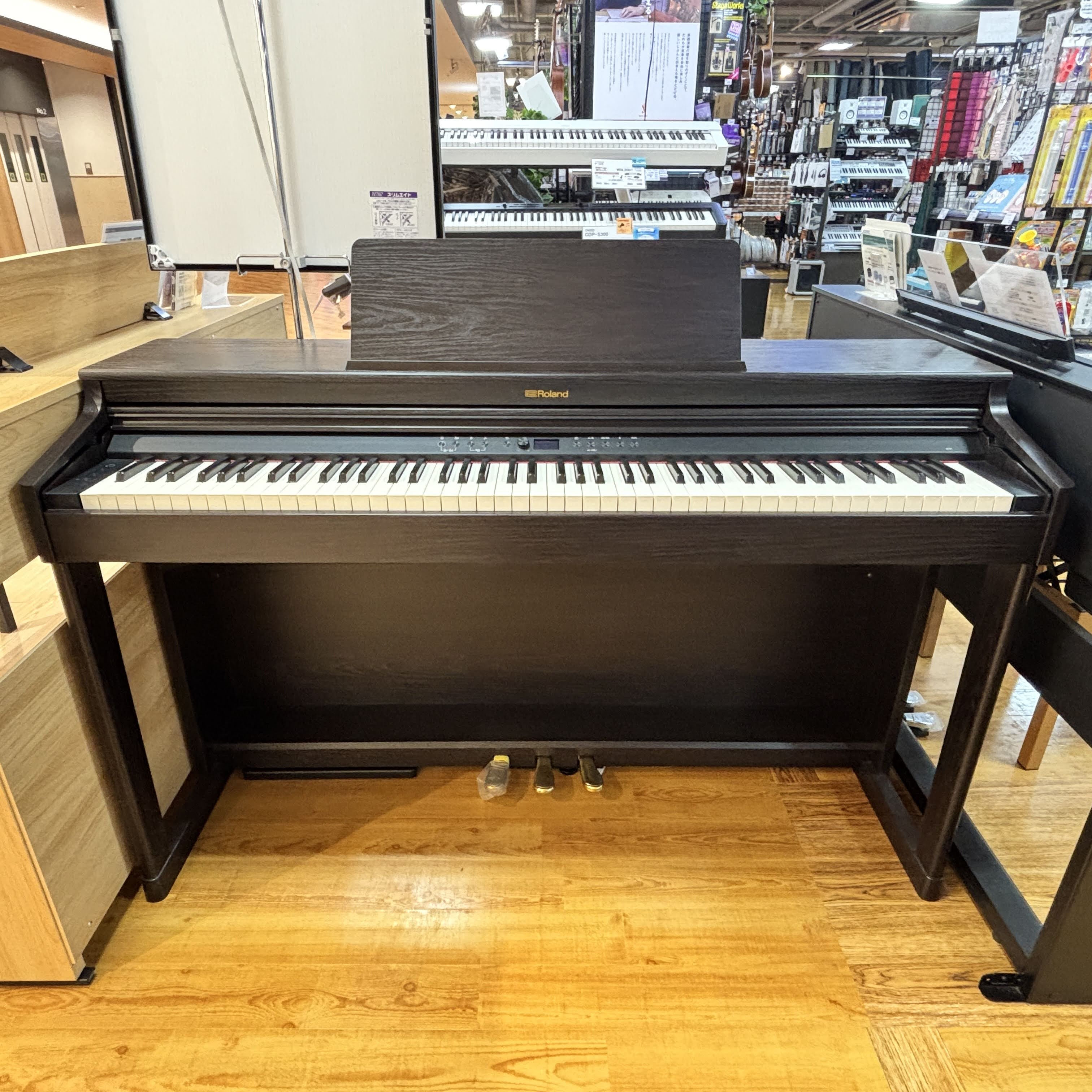 RolandRP701 DR