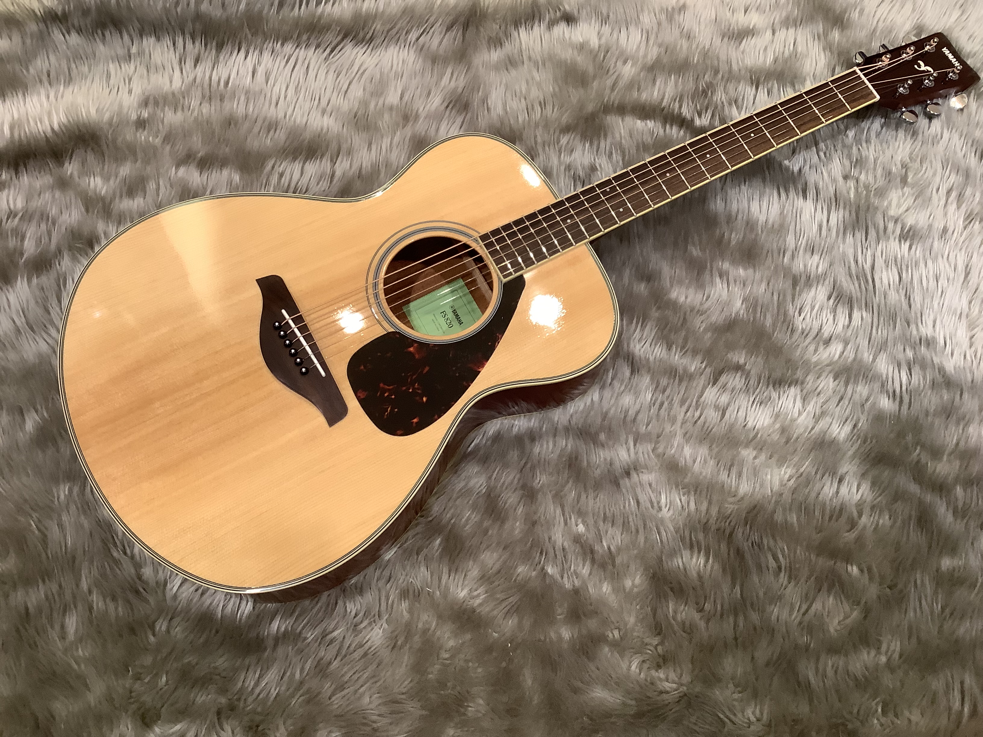 アコースティックギターFS820