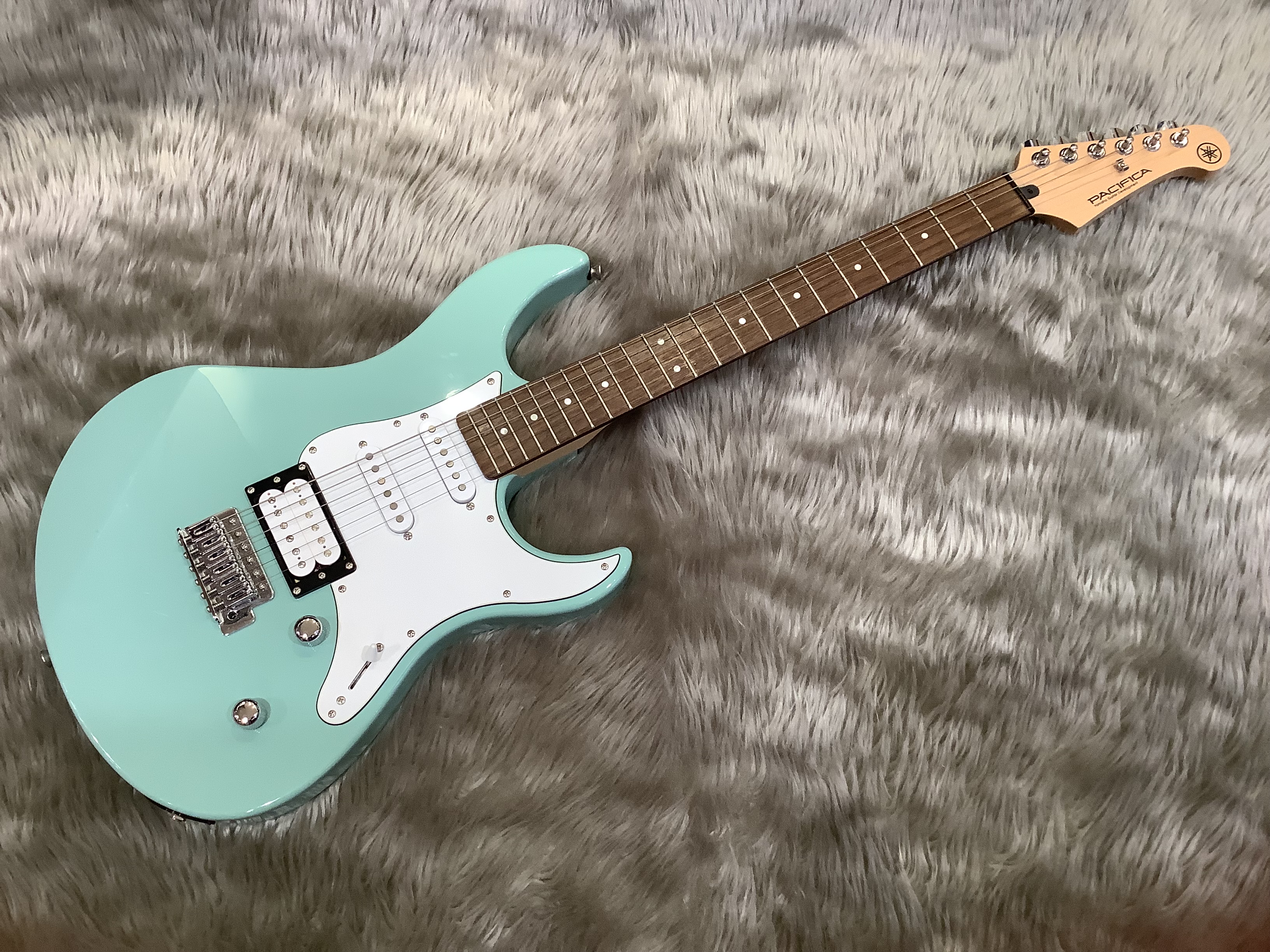 エレキギターPAC112V