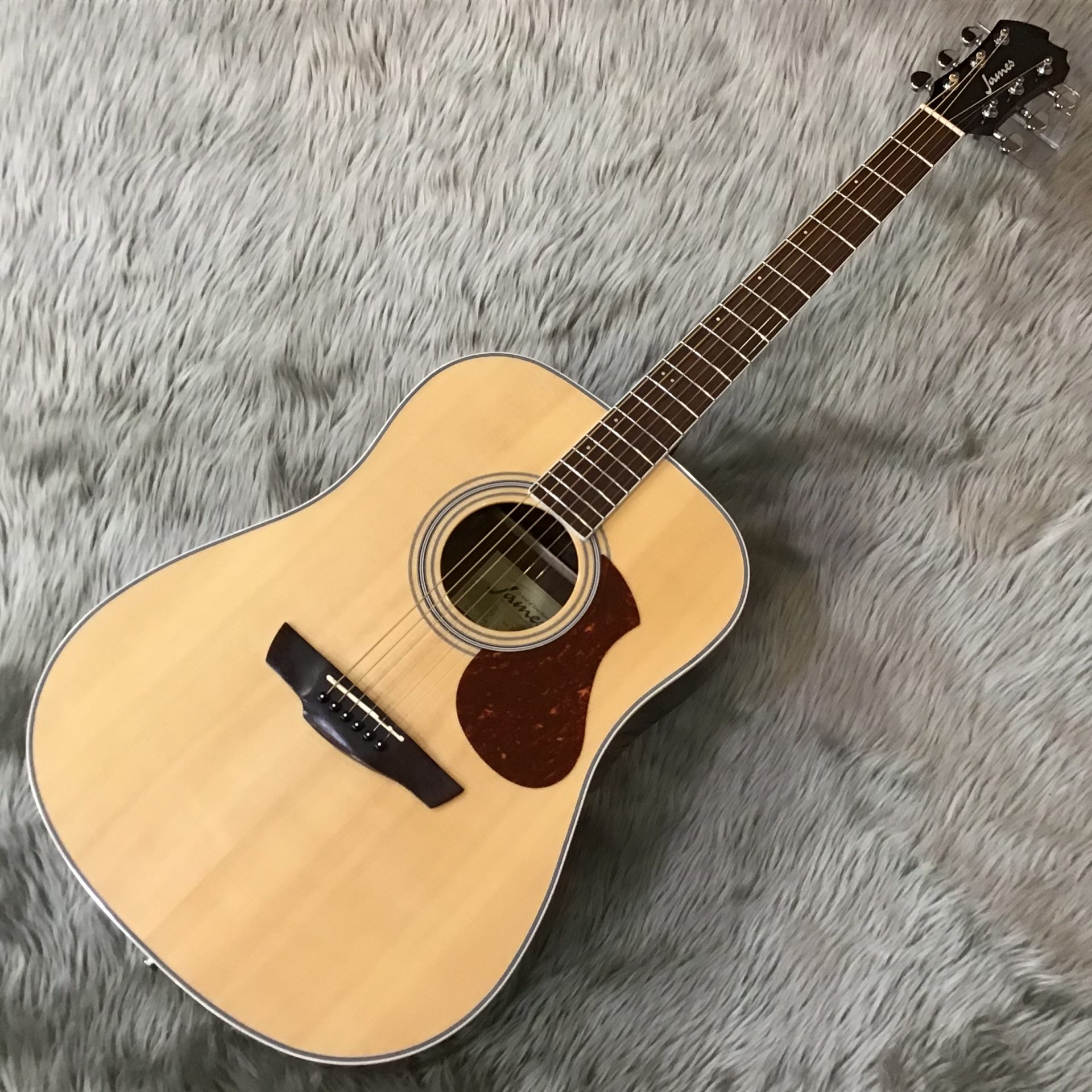 エレアコギターJames J-450A