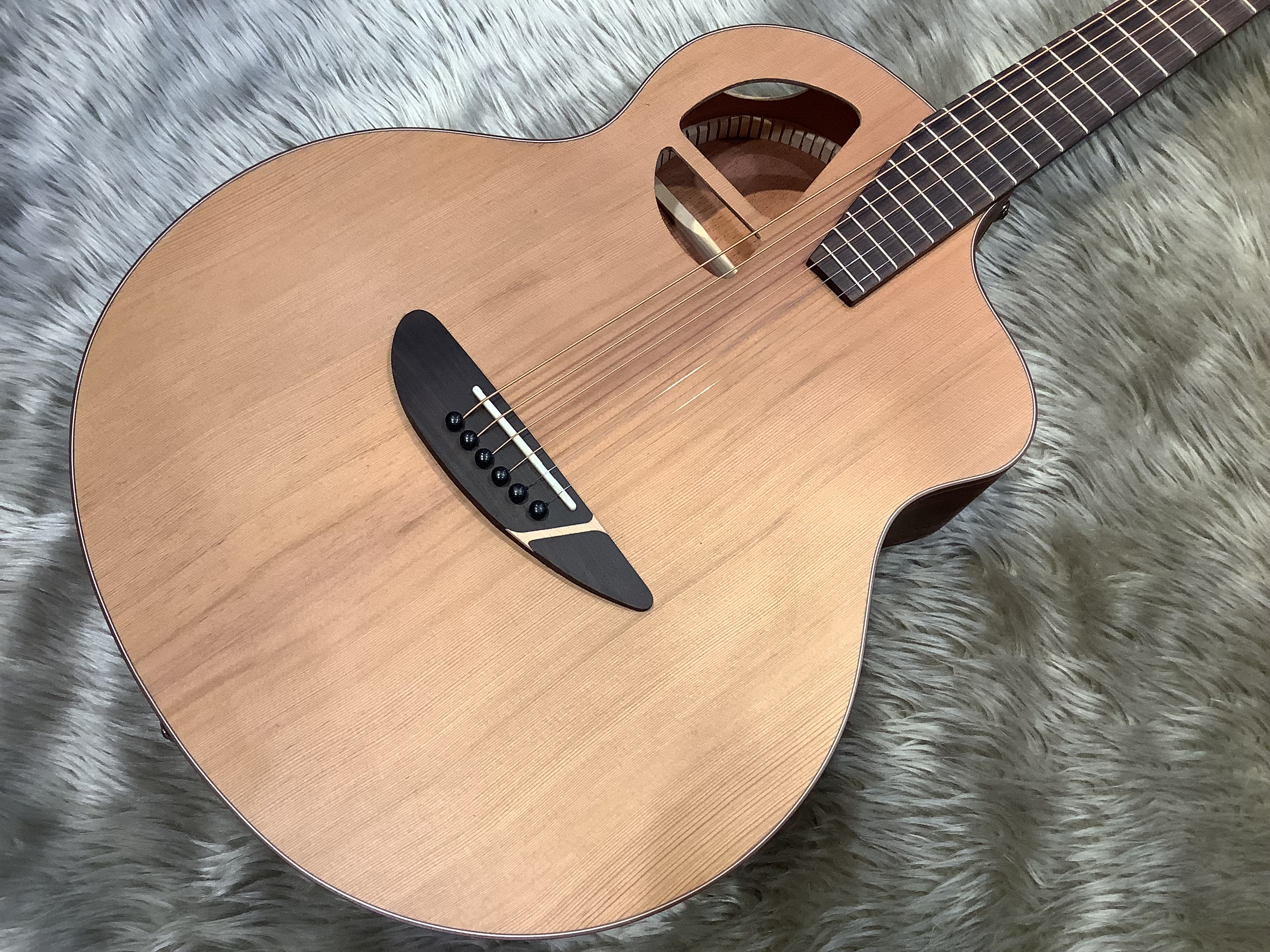 アコースティックギターL.Luthier Le Light st