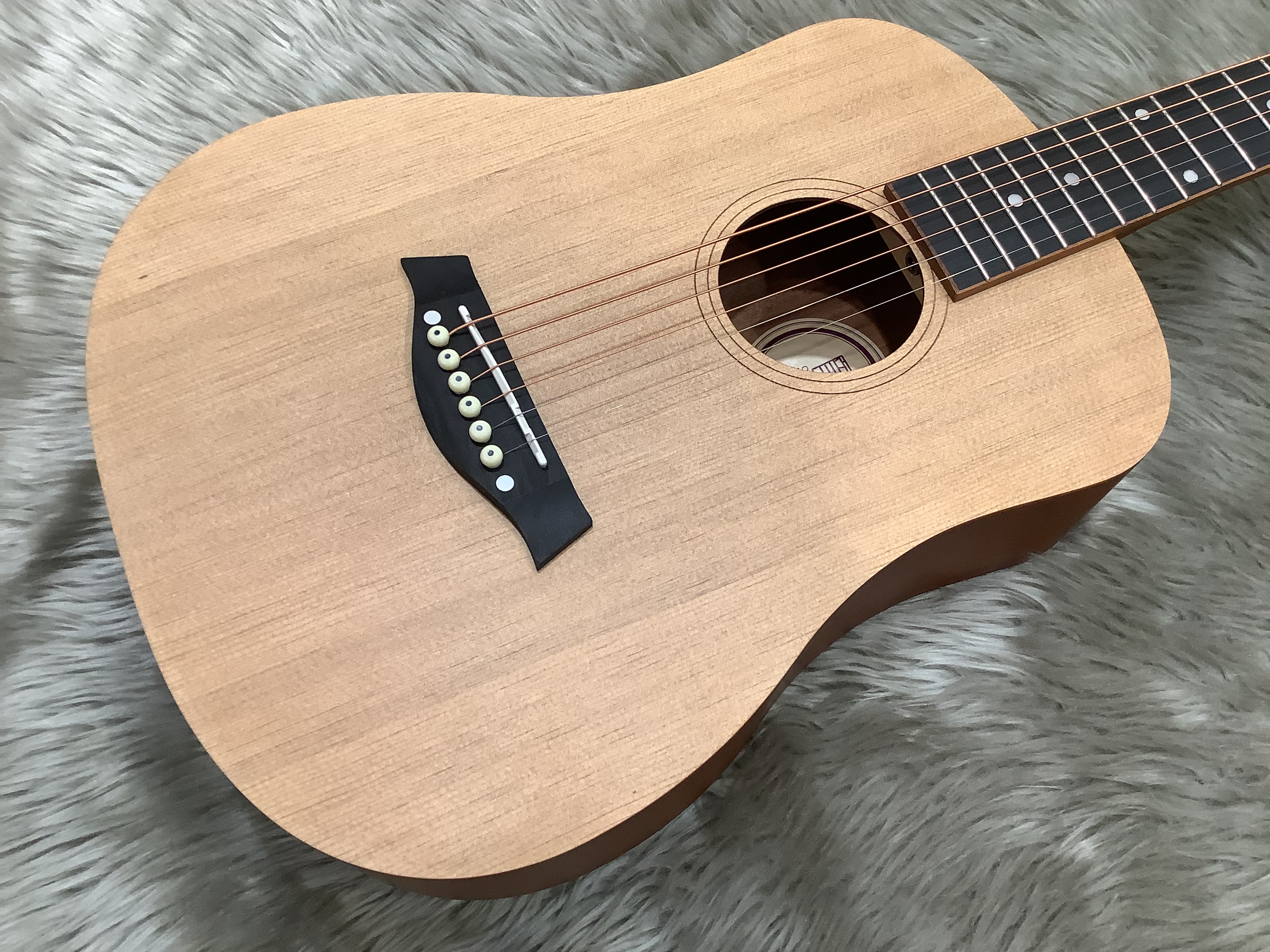ミニアコースティックギター音音 DT-1S